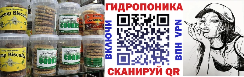 OMG как зайти  Заинск  Cannafood конопля  цена наркотик 