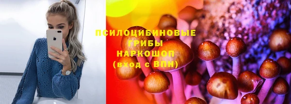 кокс Алексин