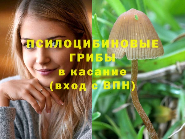 мескалин Алексеевка