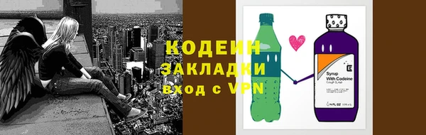 прущие грибы Инта