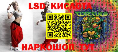 шишки Чебаркуль