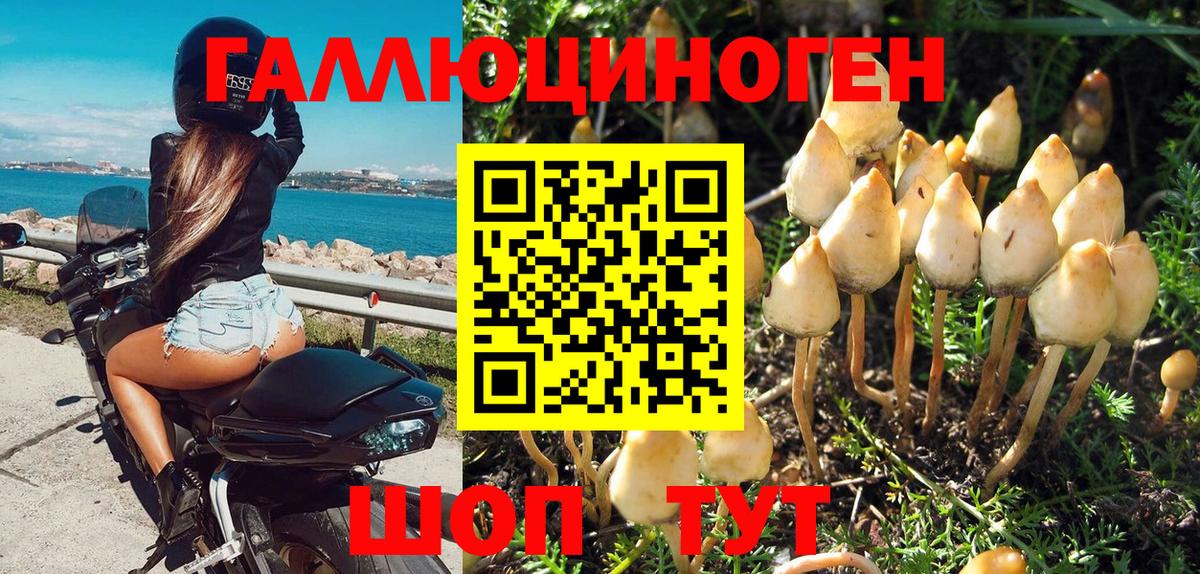 Псилоцибиновые грибы Magic Shrooms  Вход с VPN  Заинск 